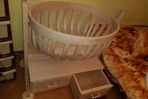 WhatsApp Image 2025-08-19 at 17.00.48_d8639264